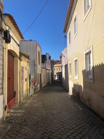 Picture 19 for Activity Aveiro: Boat Cruise and City Walking Tour with Sweet Tasting