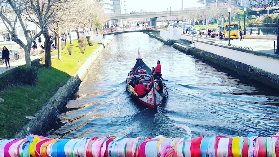 Aveiro: Boat Cruise and City Walking Tour with Sweet Tasting