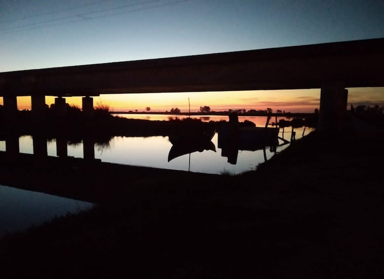 Picture 11 for Activity Aveiro: Boat Cruise and City Walking Tour with Sweet Tasting