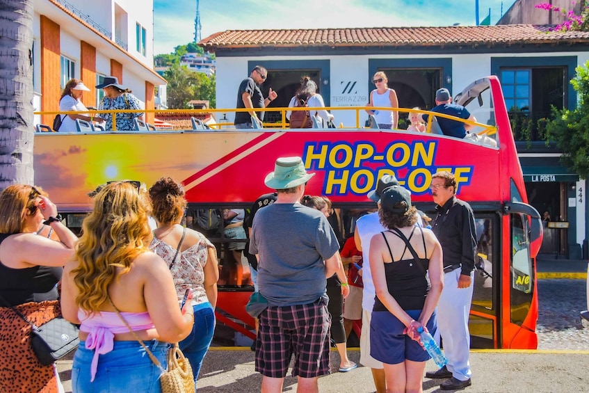 Picture 9 for Activity Puerto Vallarta: Hop-On-Hop-Off City Bus Tour