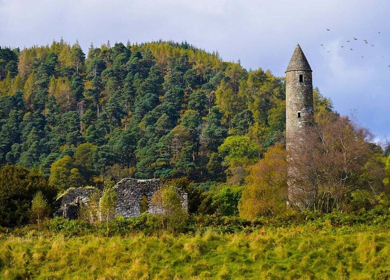 Picture 4 for Activity From Dublin: Half-Day Trip to Glendalough and Wicklow