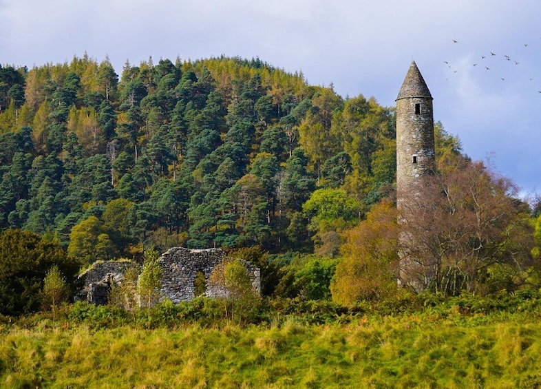 Picture 4 for Activity From Dublin: Half-Day Trip to Glendalough and Wicklow