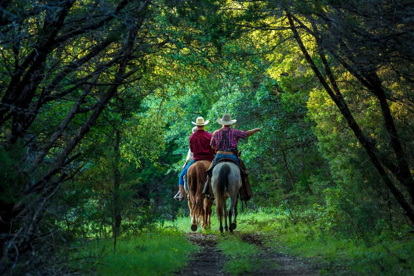 Picture 2 for Activity Waco: Sunset Horseback Ride
