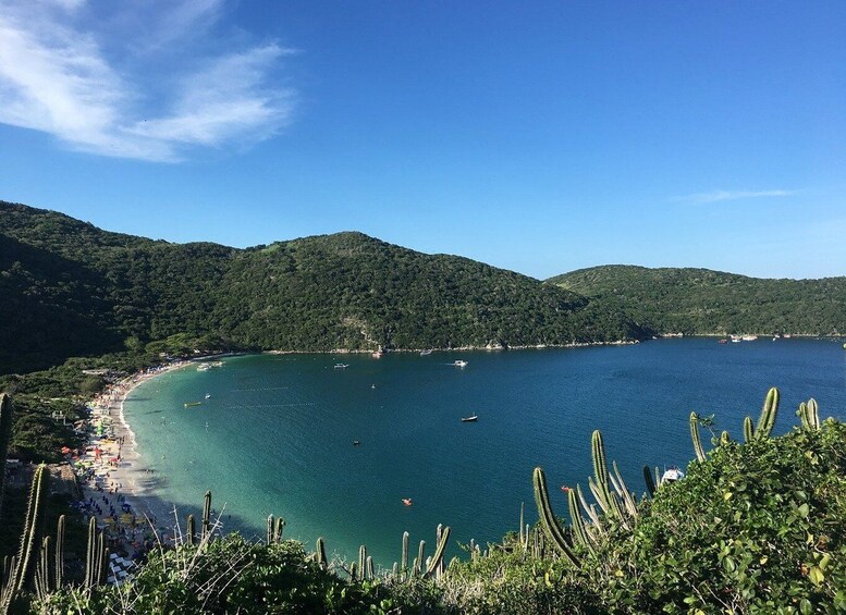 Picture 8 for Activity From Rio de Janeiro: Arraial do Cabo Tour with Lunch