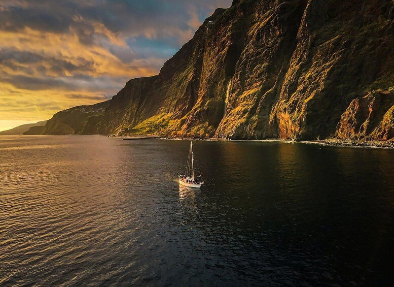 Funchal: Dolphin and Whale Watching Sunset Sailing Tour