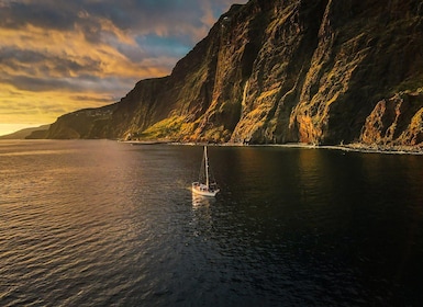 Funchal: Delfin- och valskådning på seglingstur i solnedgången