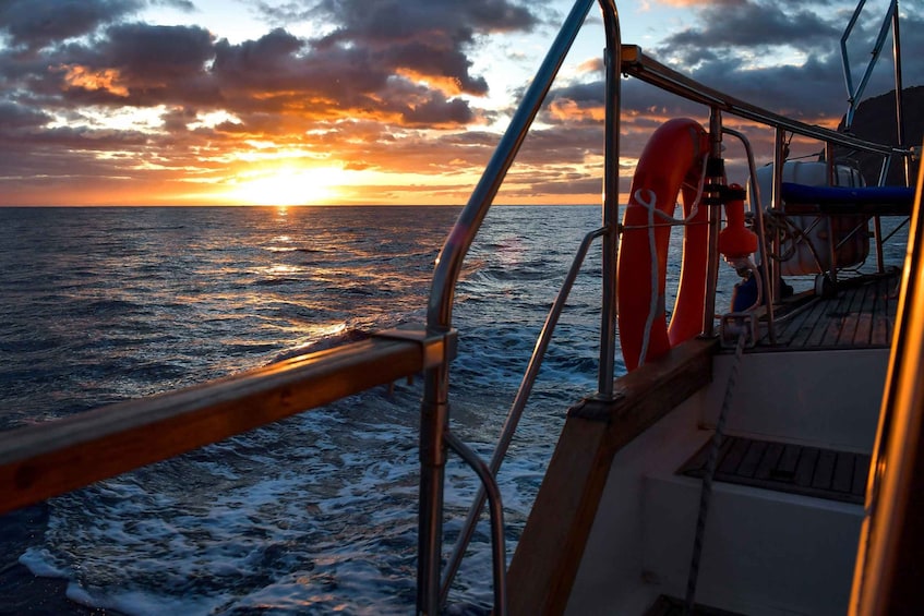 Picture 1 for Activity Funchal: Dolphin and Whale Watching Sunset Sailing Tour