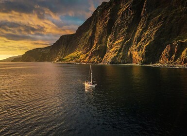 丰沙尔：观赏海豚和鲸鱼的夕阳帆船之旅