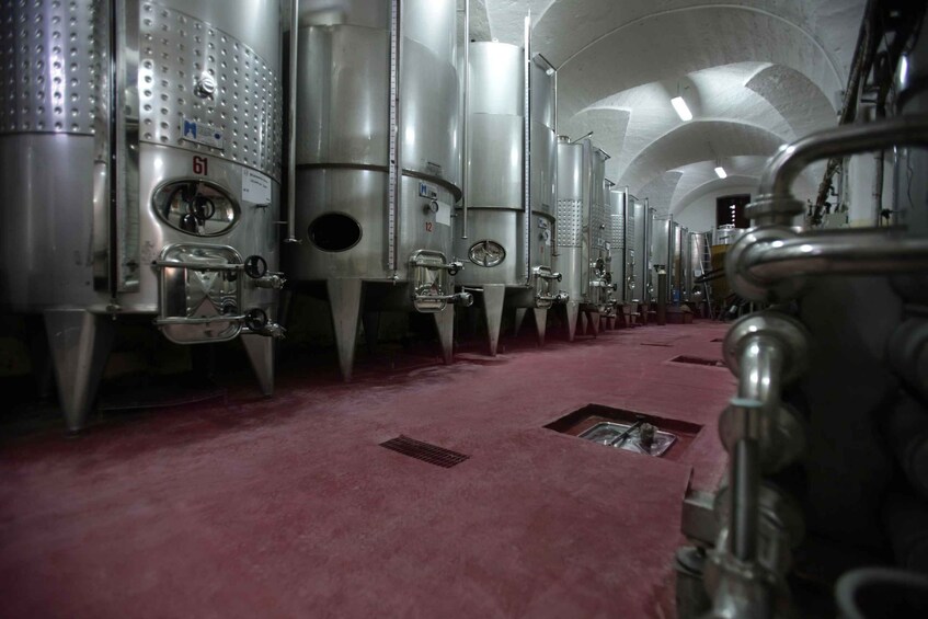 Picture 3 for Activity Salento: Winery Tour and Tasting