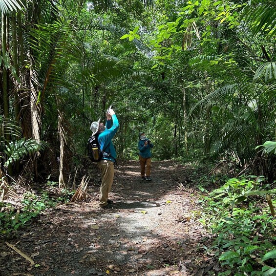 Picture 17 for Activity Panama City: Soberania National Park Hiking Tour