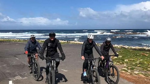 Från Kapstaden: E-Bike-tur till nationalparken Cape Point