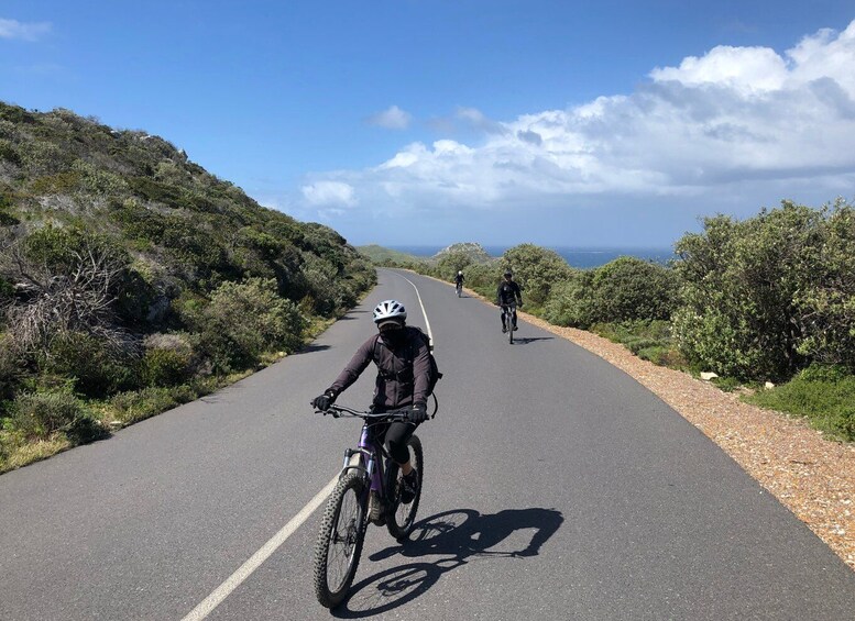 Picture 7 for Activity From Cape Town: Cape Point National Park E-Bike Tour
