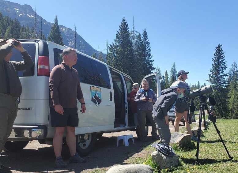 Picture 3 for Activity From West Yellowstone: Lamar Valley Wildlife Tour by Van