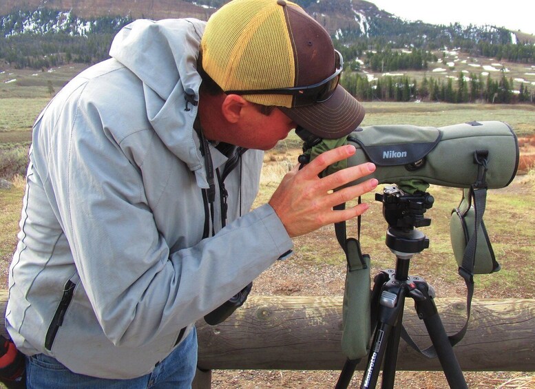 Picture 8 for Activity From West Yellowstone: Lamar Valley Wildlife Tour by Van