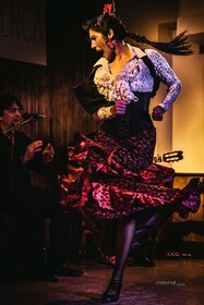 Madrid: Spettacolo di flamenco locale a El Cortijo