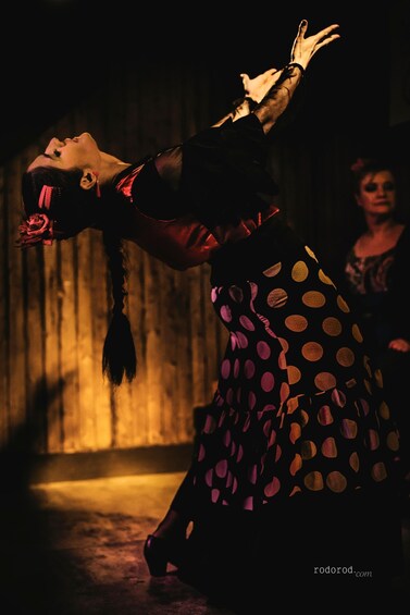 Picture 1 for Activity Madrid: The Flamenco Experience at EL CORTIJO