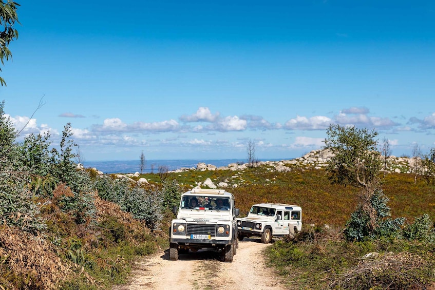 Picture 4 for Activity Algarve: Full-Day Guided Sightseeing Tour with Lunch
