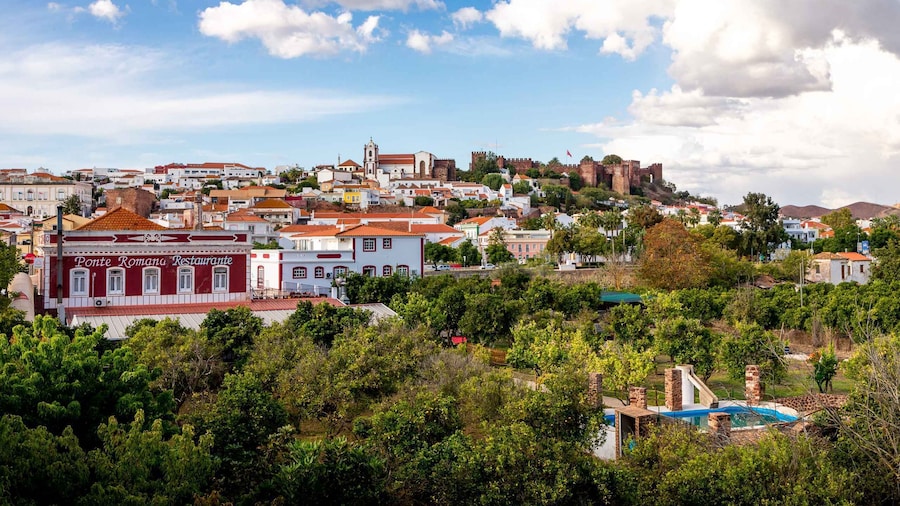 Algarve: Full-Day Guided Sightseeing Tour with Lunch