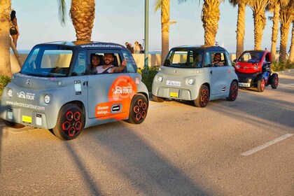 Prise en charge au terminal de croisière. Malaga en 2 heures en voiture éle...