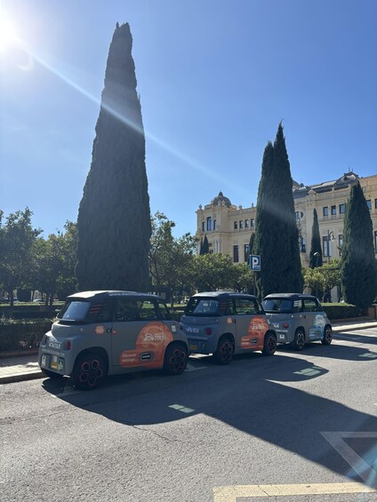 Picture 22 for Activity Cruise terminal pickup. Malaga in 2 hours by Electric Car