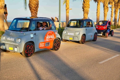 Ramassage au terminal de croisière. Malaga en 2 heures en voiture électriqu...