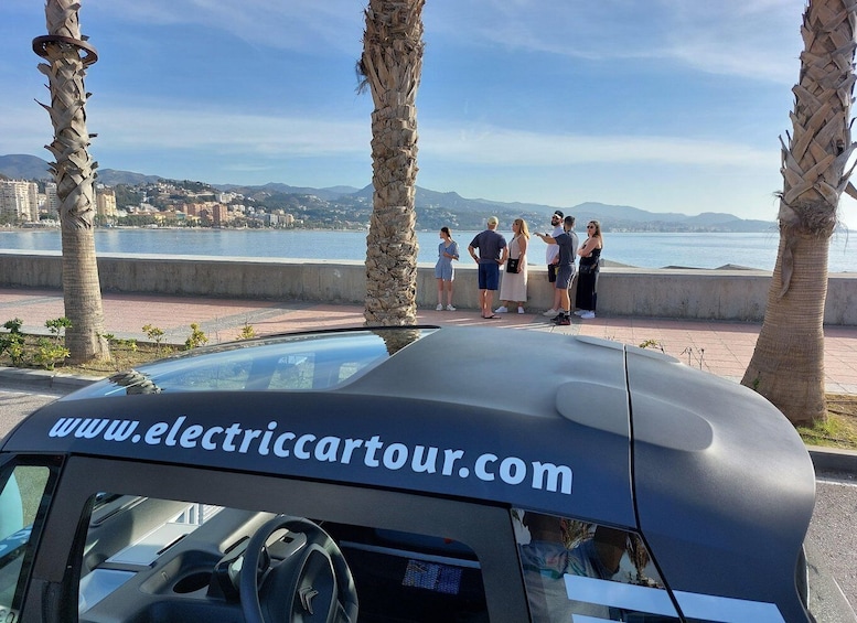 Picture 9 for Activity Cruise terminal pickup. Malaga in 2 hours by Electric Car