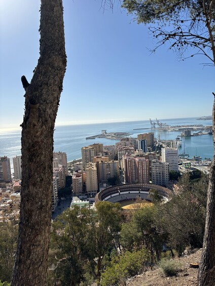 Picture 14 for Activity Cruise terminal pickup. Malaga in 2 hours by Electric Car