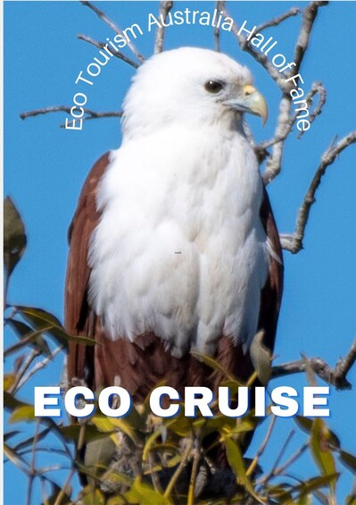 Picture 4 for Activity Maroochydore: Private Maroochy River Eco Cruise with Lunch