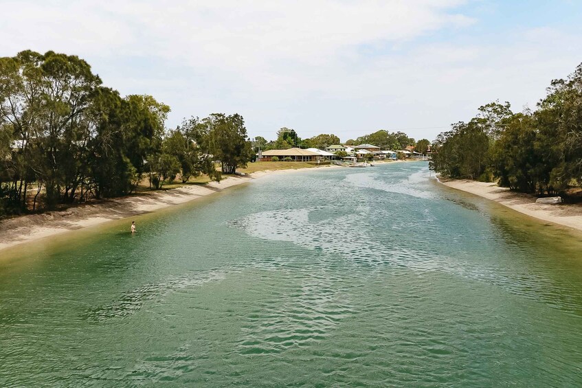 Picture 2 for Activity Maroochydore: Private Maroochy River Eco Cruise with Lunch