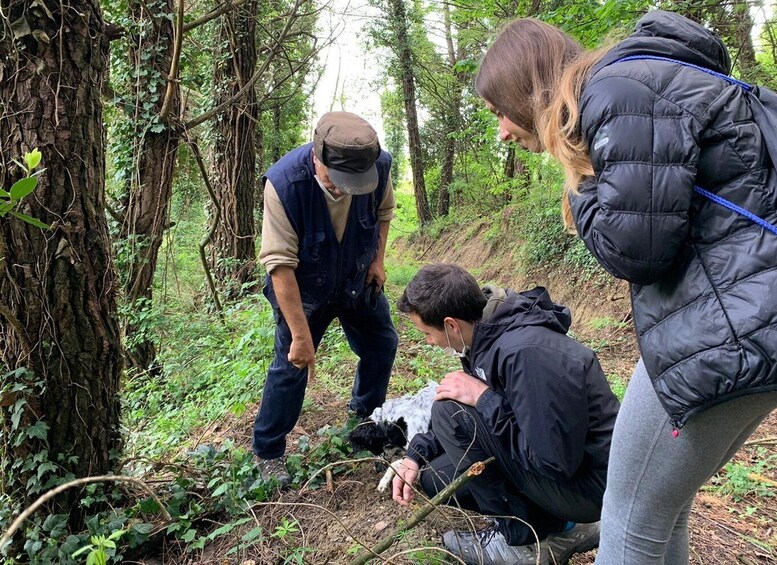 Picture 1 for Activity San Miniato: Truffle Hunting in The Tuscan Countryside