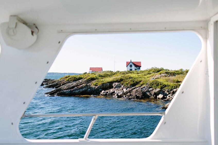 Picture 3 for Activity Boothbay Harbor Cruise: Lighthouses, Lobster Haul, and Seals