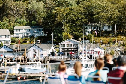 Boothbay Harbor Cruise: Lighthouses, Lobster Haul, and Seals