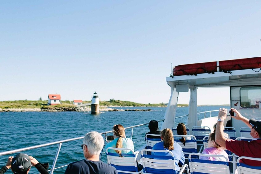 Picture 1 for Activity Boothbay Harbor Cruise: Lighthouses, Lobster Haul, and Seals