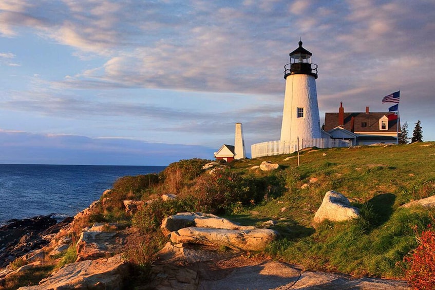 Picture 6 for Activity Boothbay Harbor Cruise: Lighthouses, Lobster Haul, and Seals