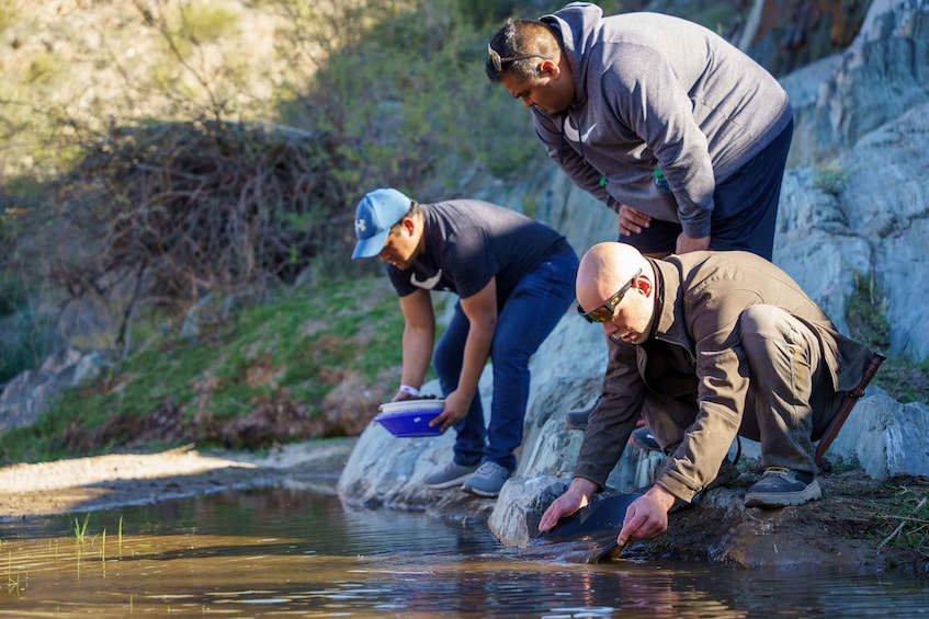 Picture 2 for Activity From Phoenix: Gold Rush Guided Hiking and Gold Panning Tour