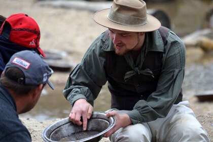 From Phoenix: Gold Rush Guided Hiking and Gold Panning Tour