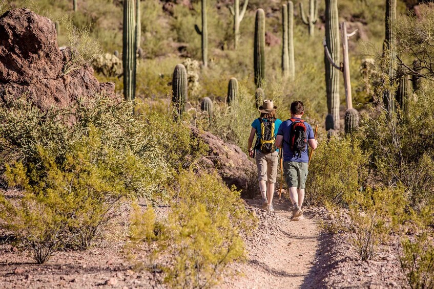 Picture 4 for Activity From Phoenix: Gold Rush Guided Hiking and Gold Panning Tour