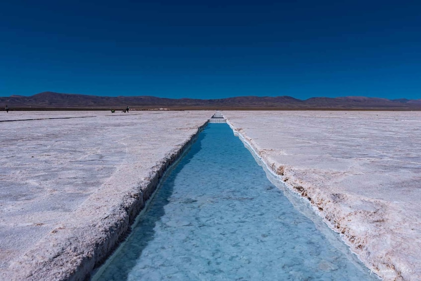 Picture 5 for Activity From Salta: 4-Day Trip in Salta Province & Salinas Grandes