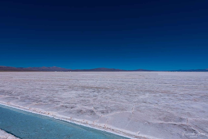 Picture 6 for Activity From Salta: 4-Day Trip in Salta Province & Salinas Grandes