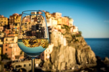 Cinque Terre: degustación de vinos y recorrido a pie