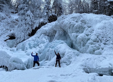 From Anchorage: Chugach State Park Winter Walking Tour