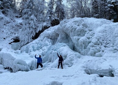 Desde Anchorage: Recorrido a pie de invierno por el Parque Estatal de Chuga...