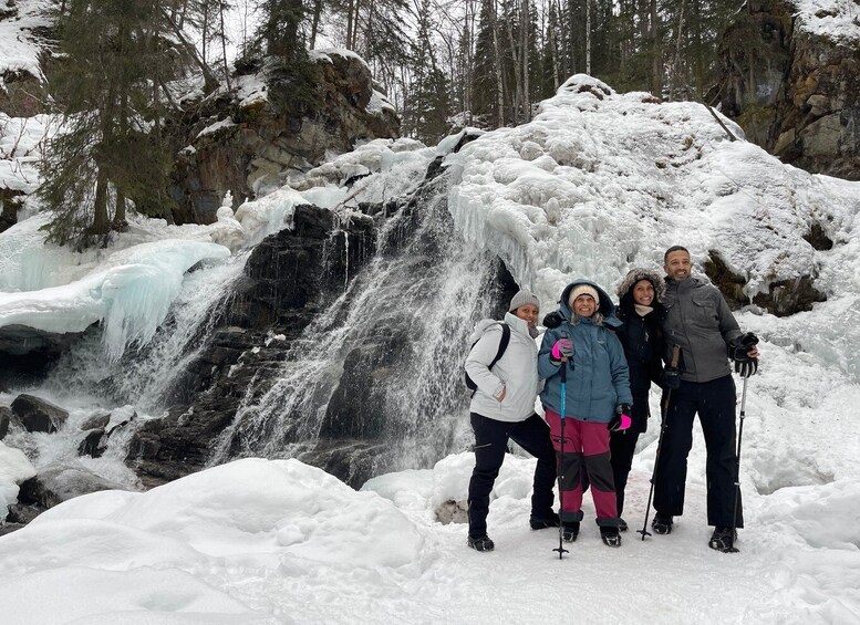 Picture 4 for Activity From Anchorage: Chugach State Park Winter Walking Tour