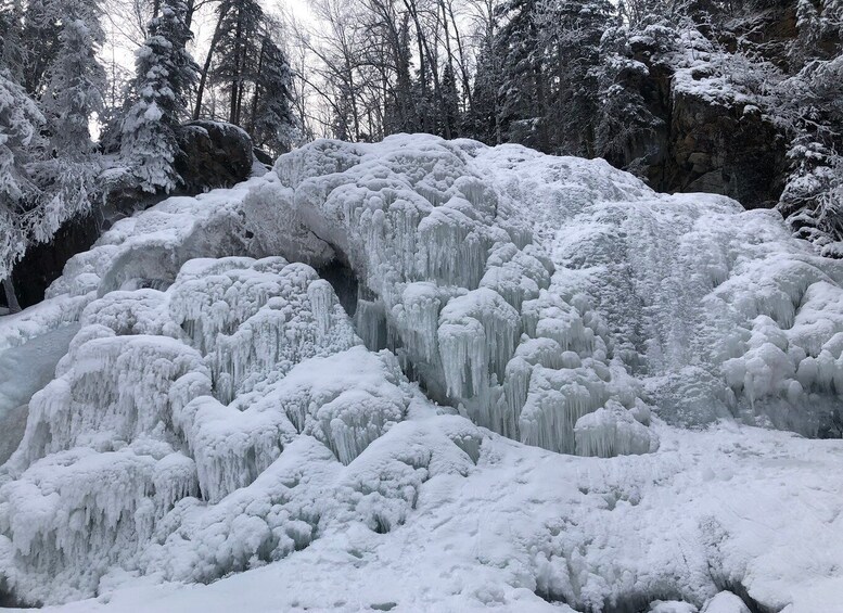 Picture 5 for Activity From Anchorage: Chugach State Park Winter Walking Tour