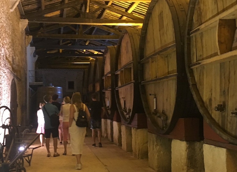 Picture 9 for Activity Sete: Private Wine and Oyster Tour with Tastings