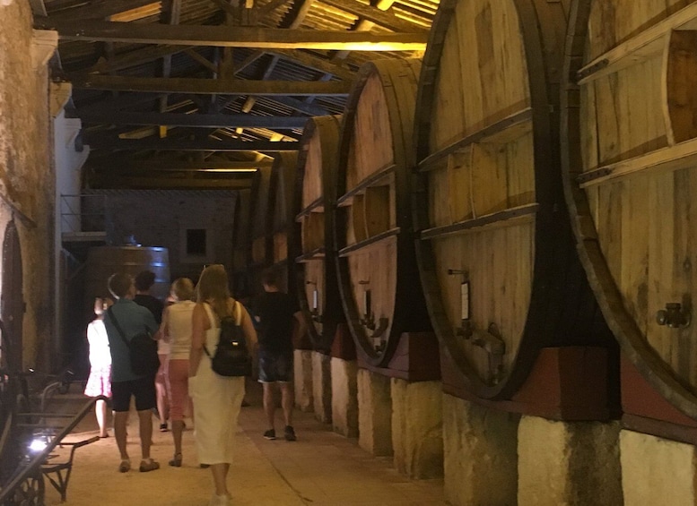 Picture 9 for Activity Sete: Private Wine and Oyster Tour with Tastings