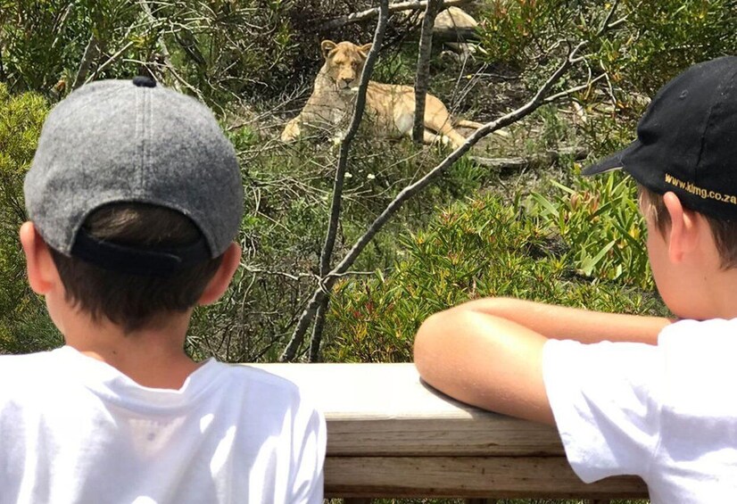 Plettenberg Bay: EcoKidz Family Challenge Wildlife Tour