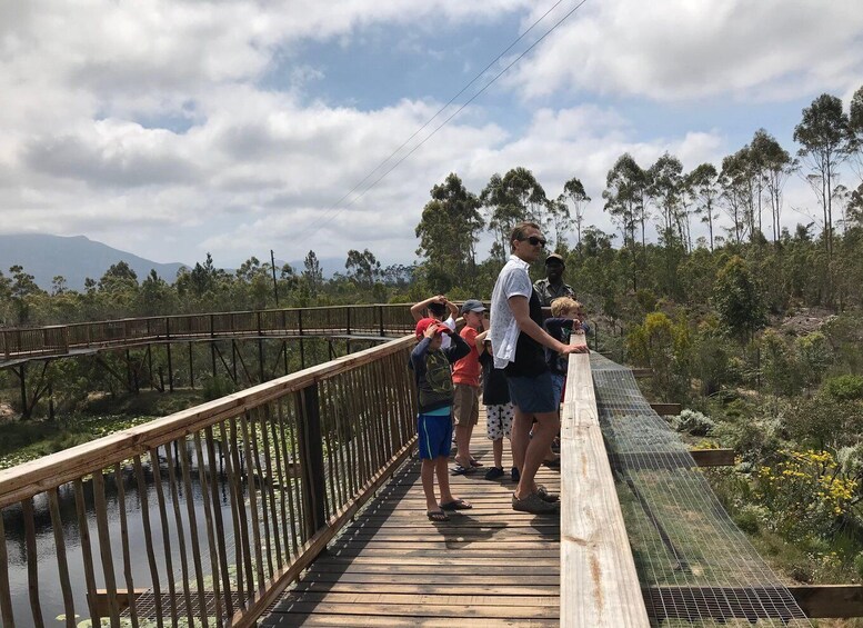 Picture 2 for Activity Plettenberg Bay: EcoKidz Family Challenge Wildlife Tour
