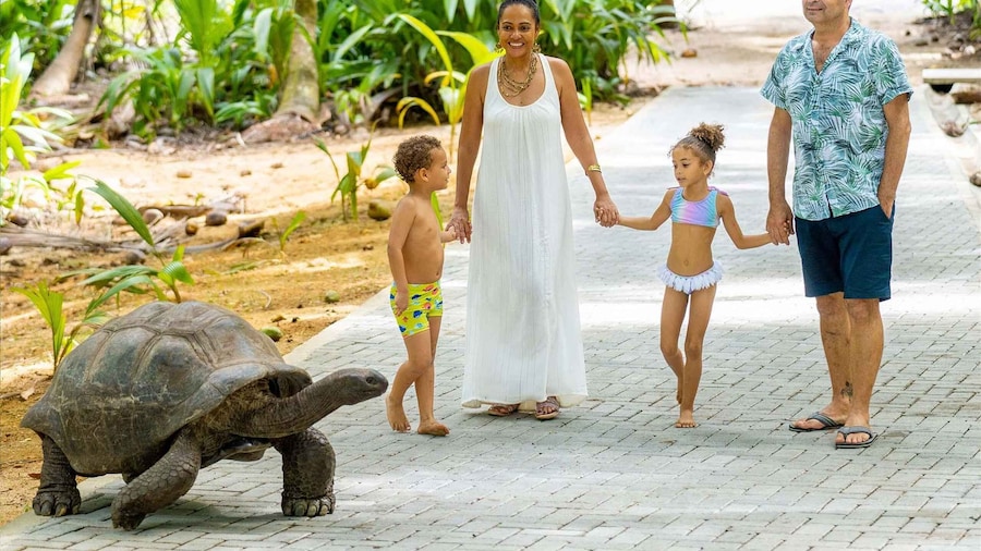 Mahé: Wild South Discovery Trip with Local Lunch