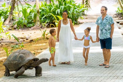 Mahé : Voyage de découverte du Sud sauvage avec déjeuner local